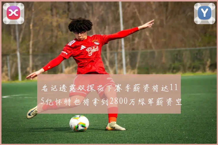 名记透露双探花下赛季薪资将达115亿怀特也将拿到2800万绿军薪资空间依旧紧张