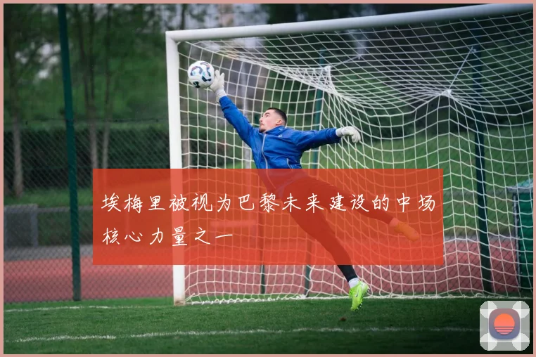 埃梅里被视为巴黎未来建设的中场核心力量之一