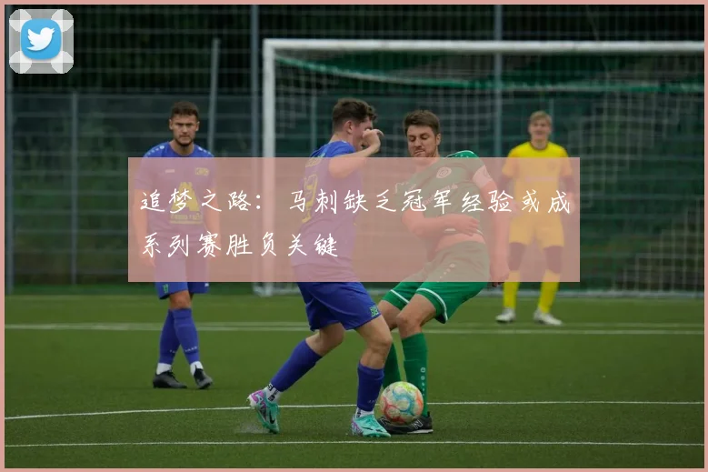 追梦之路：马刺缺乏冠军经验或成系列赛胜负关键